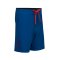 STARBOARD MENS ORIGINAL BOARDSHORTS - TEAM BLUE - 28
