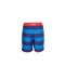 STARBOARD MEN STRIPE BOARDSHORTS - NAVY/BLUE - 30