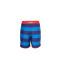 STARBOARD MEN STRIPE BOARDSHORTS - NAVY/BLUE - 30